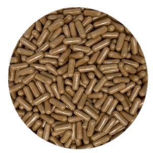 Cordyceps Sinensis Capsules Organic