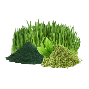 Organic Green Blend Powder - 150g